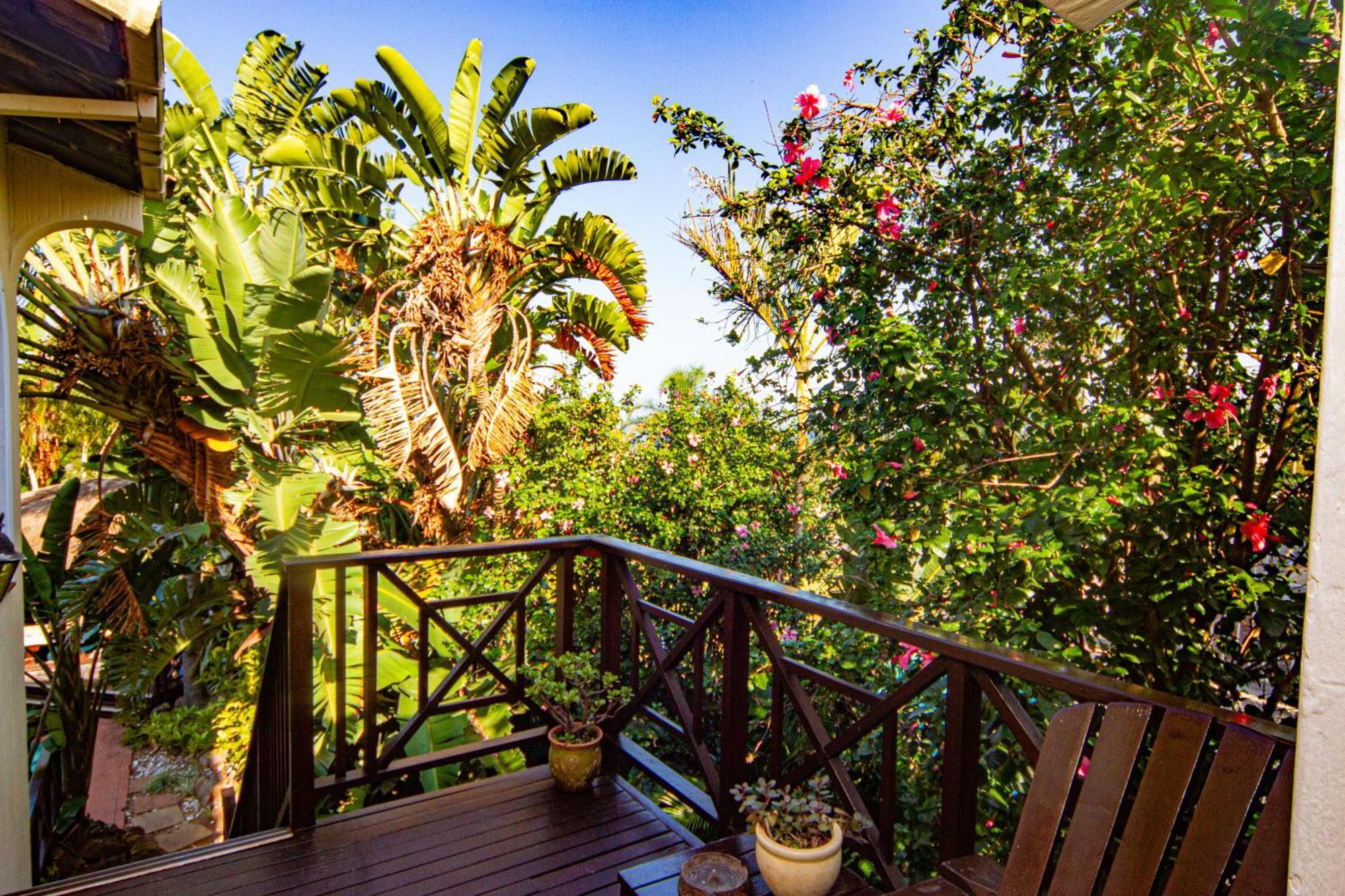 La Loggia Bed And Breakfast Durban Zewnętrze zdjęcie